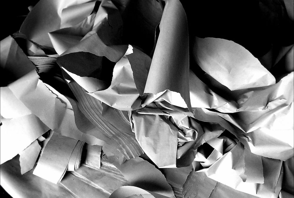 10 Ways Shredding Is Vital For Your Business